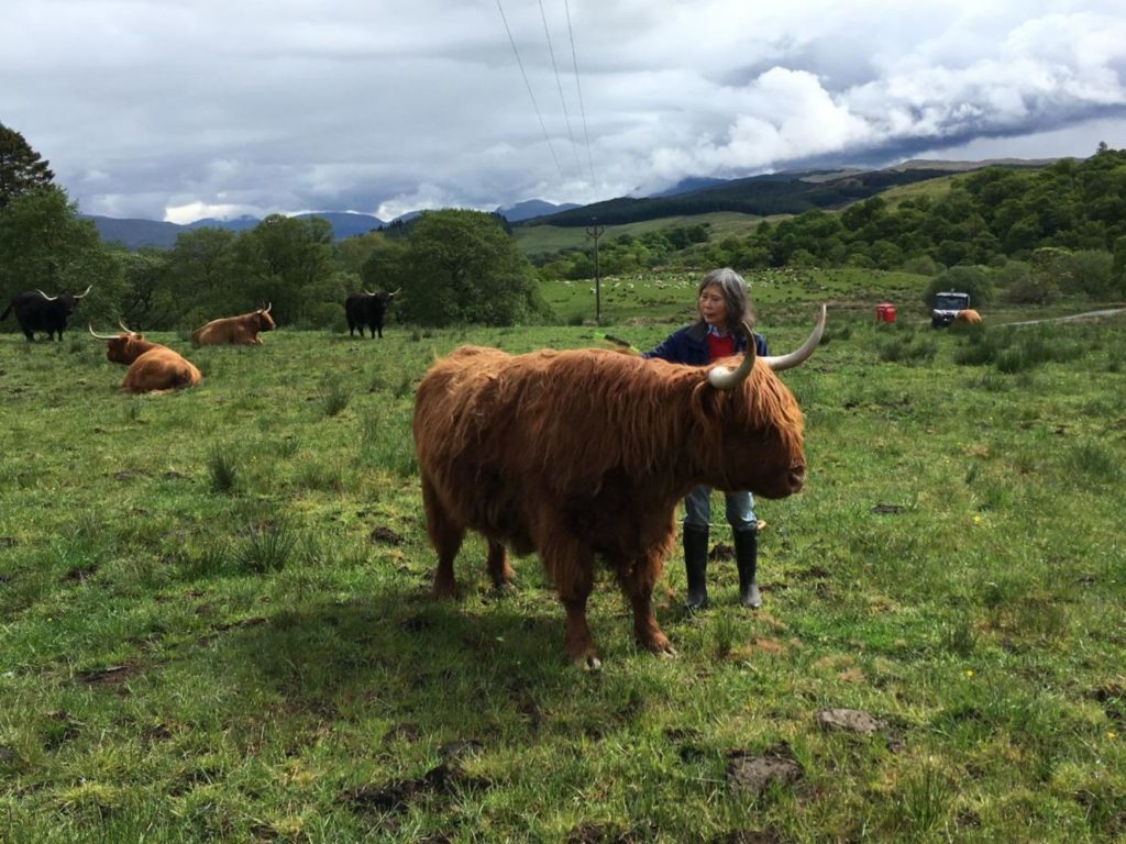 Farm Tours - Visit Cladich, Accommodation nr Oban, Argyll